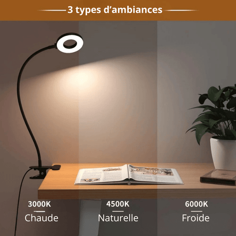 Lampe de bureau LED flexible
