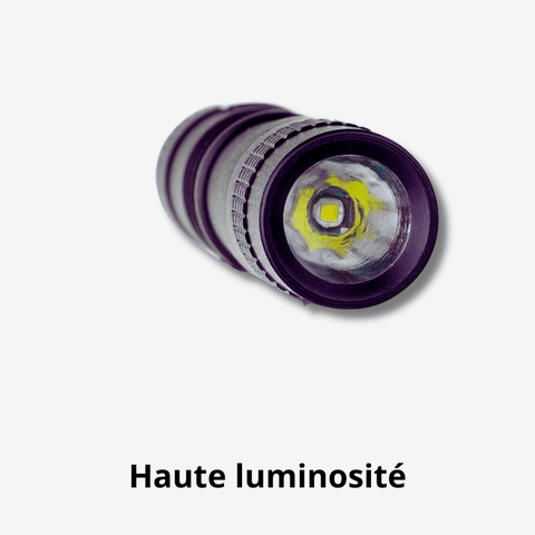 Mini lampe torche LED